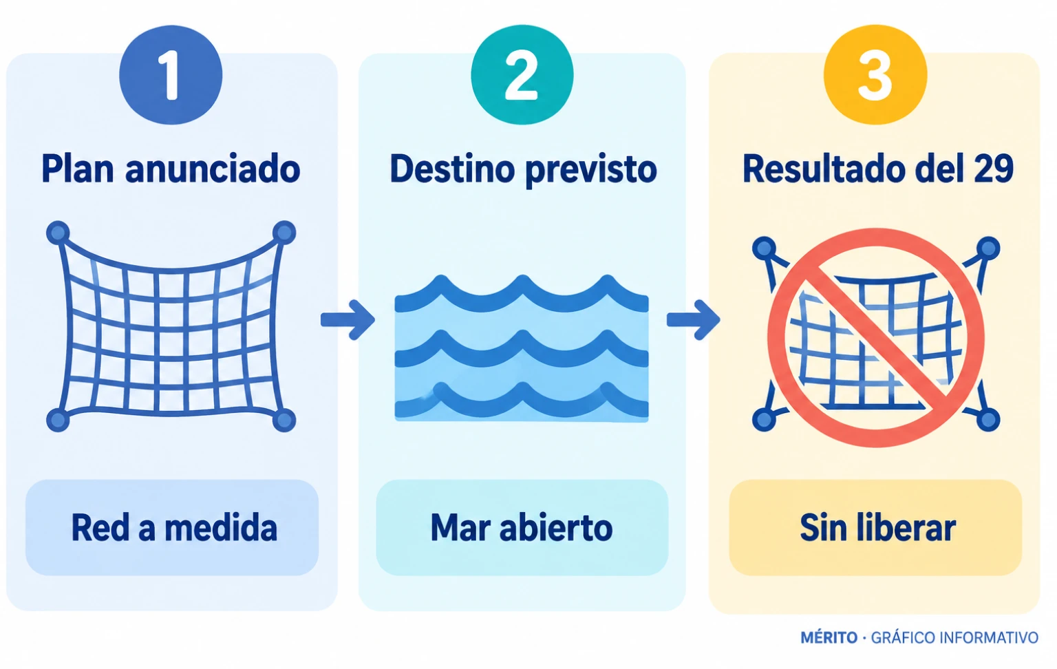 Las autoridades planeaban usar una red adaptada a las dimensiones del canal para guiar al tiburón hacia la salida.